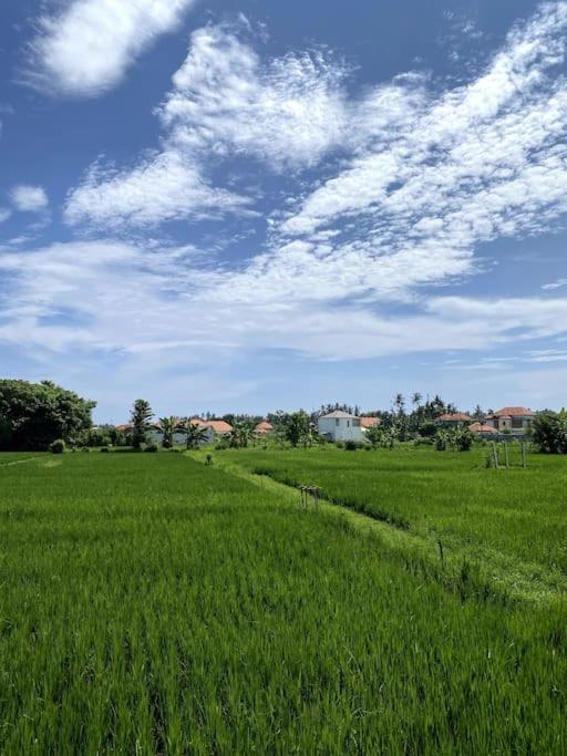Villa Vespa Lovina Eksteriør bilde